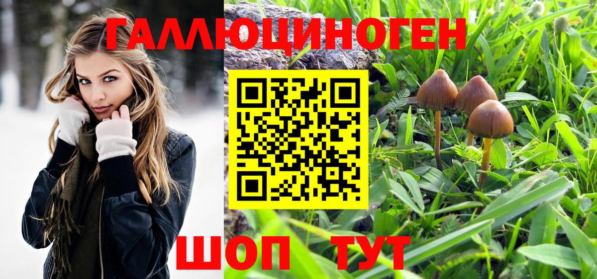 Таганрог  Псилоцибиновые грибы Magic Shrooms  Галлюциногенные грибы мухоморы  Вход с VPN 