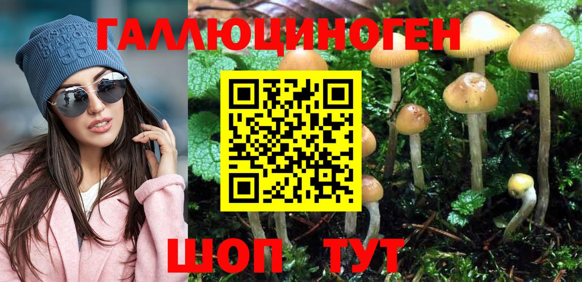 Галлюциногенные грибы GOLDEN TEACHER Таганрог